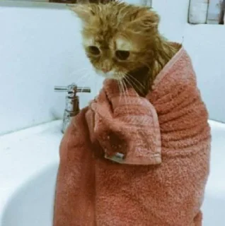 Sticker 🧶 •• @MoodPacks •• - 6