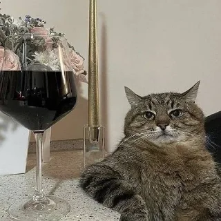 Sticker муд винса - 1