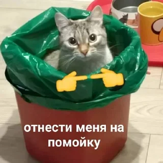 Sticker муд винса - 7