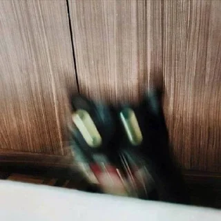 Sticker муд винса - 10