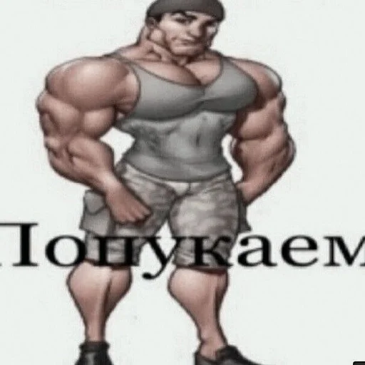 muscle chest bodybuilding