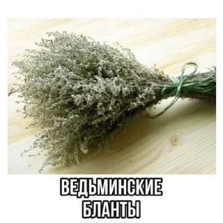 Sticker шабаш ведьм - 8