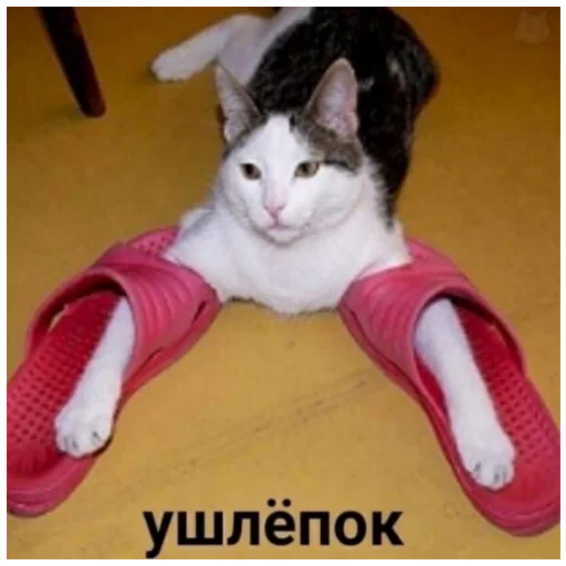 Стикер Мудпак - 0