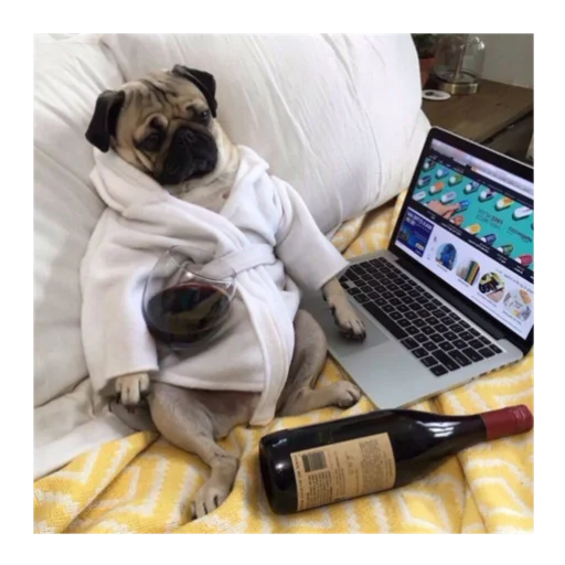 Мопс @stickersforyourlife - 