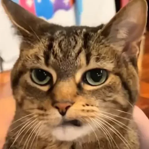 Sticker mordyebala - 1