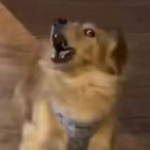 Sticker mordyebala - 1