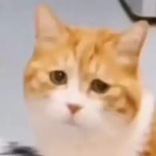 Sticker mordyebala - 1