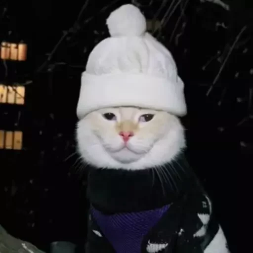 Sticker mordyebala - 1