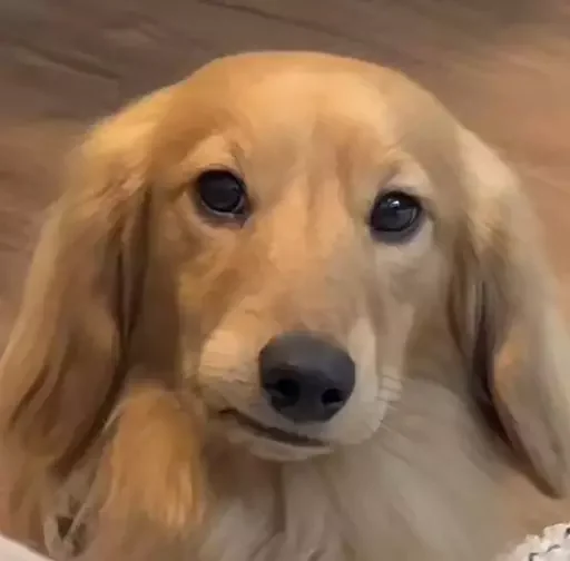 Sticker mordyebala - 1