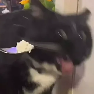 Sticker Морды - 1