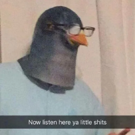 животное птица клюв