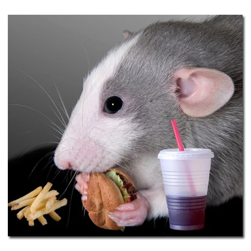 Стикер хомяки и не только - 11