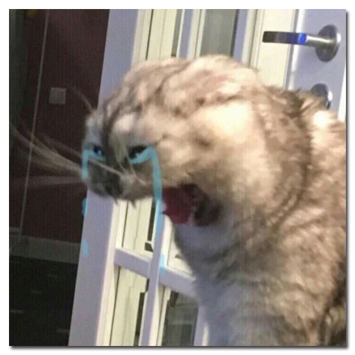 Стикер хомяки и не только - 9