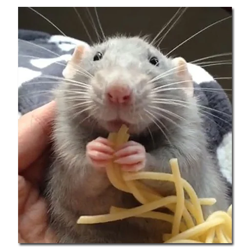 Стикер хомяки и не только - 8