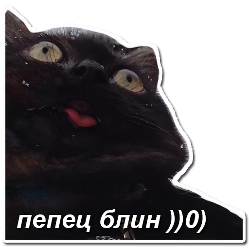 Стикер хомяки и не только - 6