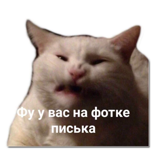 Стикер хомяки и не только - 5