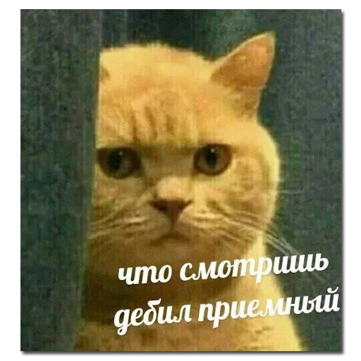 Стикер хомяки и не только - 4