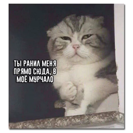 Стикер хомяки и не только - 3