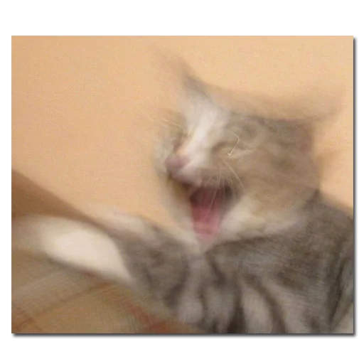 Стикер хомяки и не только - 2