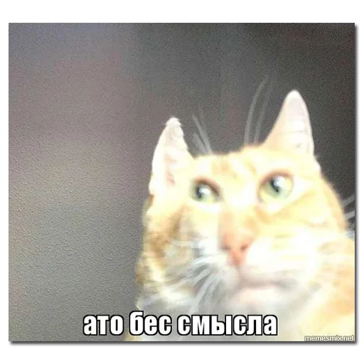 Стикер хомяки и не только - 1