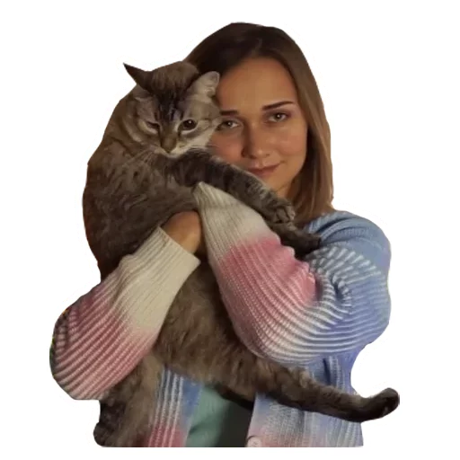 small to medium-sized cats felidae person