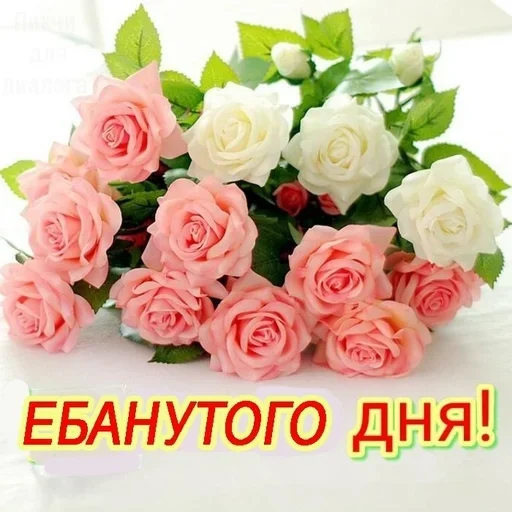 Sticker утро 🥱/ спок нок 😴 :: @fStikBot - 10