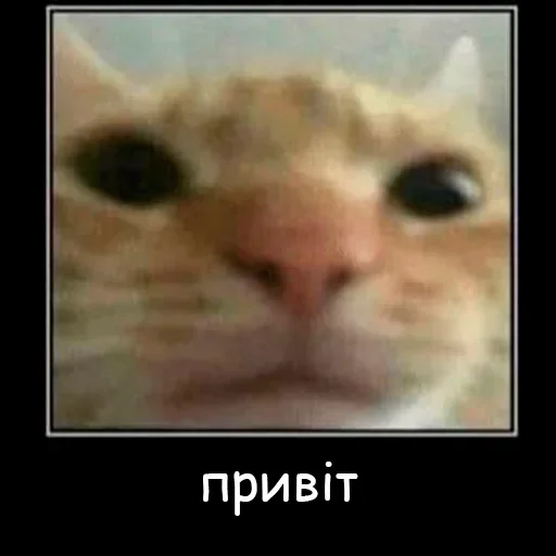 Sticker утро 🥱/ спок нок 😴 :: @fStikBot - 9