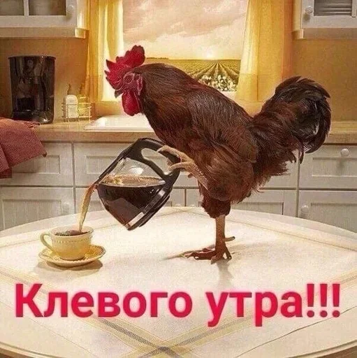Sticker утро 🥱/ спок нок 😴 :: @fStikBot - 8