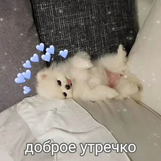 Sticker утро 🥱/ спок нок 😴 :: @fStikBot - 5