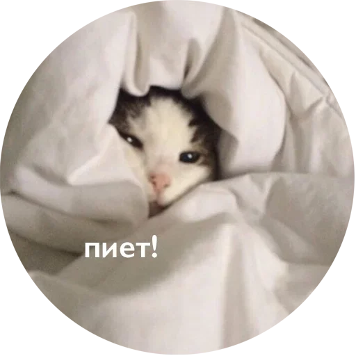 Sticker утро 🥱/ спок нок 😴 :: @fStikBot - 1