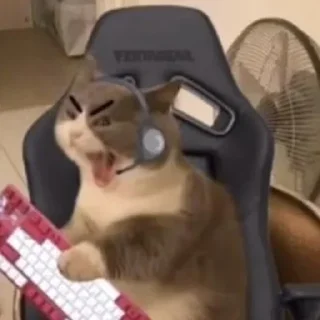 Sticker morrrrre - 7