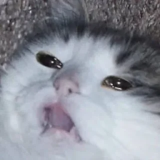 Sticker morrrrre - 10