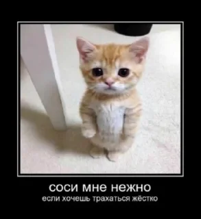 Стикер mommy - 5