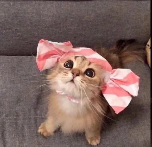 Sticker morssssss - 1