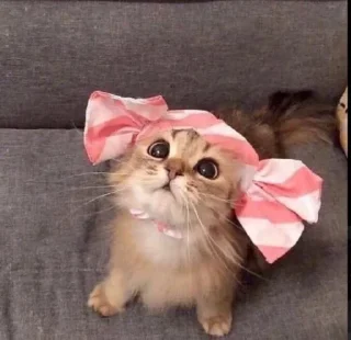 Стикер mommy - 6