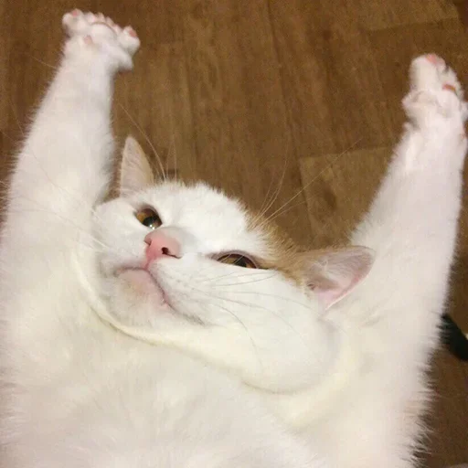 Стикер mosicand_123 - 1