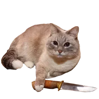 Sticker моssик - 4