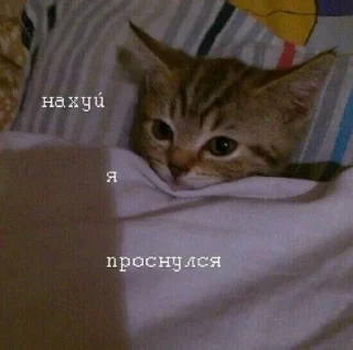 Sticker моssик - 2