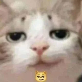 Sticker cats.mos? - 8