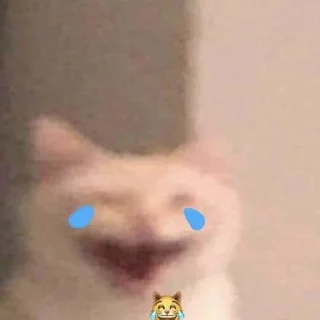 Sticker cats.mos? - 1