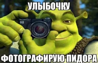 Sticker moto-moto-shrecks - 4