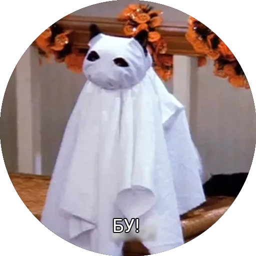 wedding dress indoor white