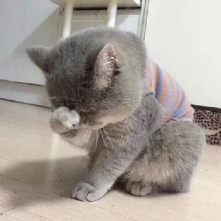 Стикер hehe - 4