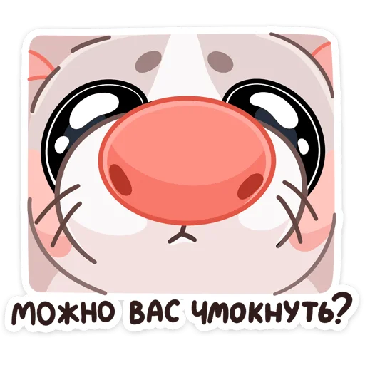 clipart graphics circle