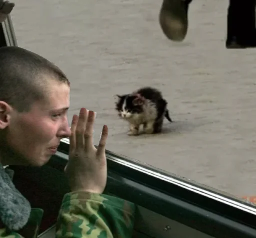 Стикер Москва Мобилизованная - 9