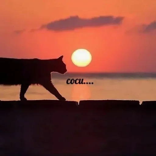 небо на открытом воздухе заход солнца