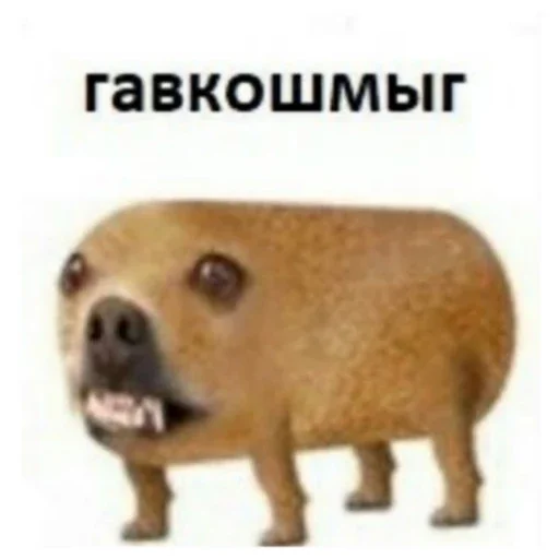 Sticker moyo5508 - 1