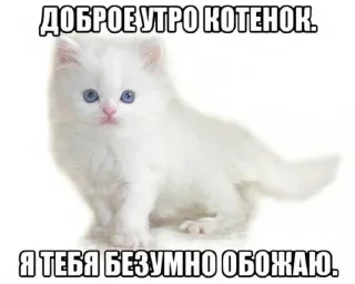 Стикер Больше стикеров 👉🏻 @stickertg4 - 4