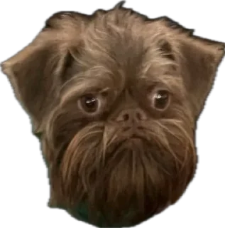 Sticker mr. Пёс - 5