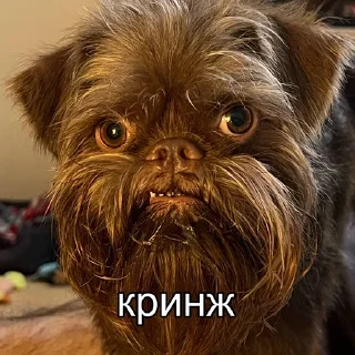 Sticker mr. Пёс - 2